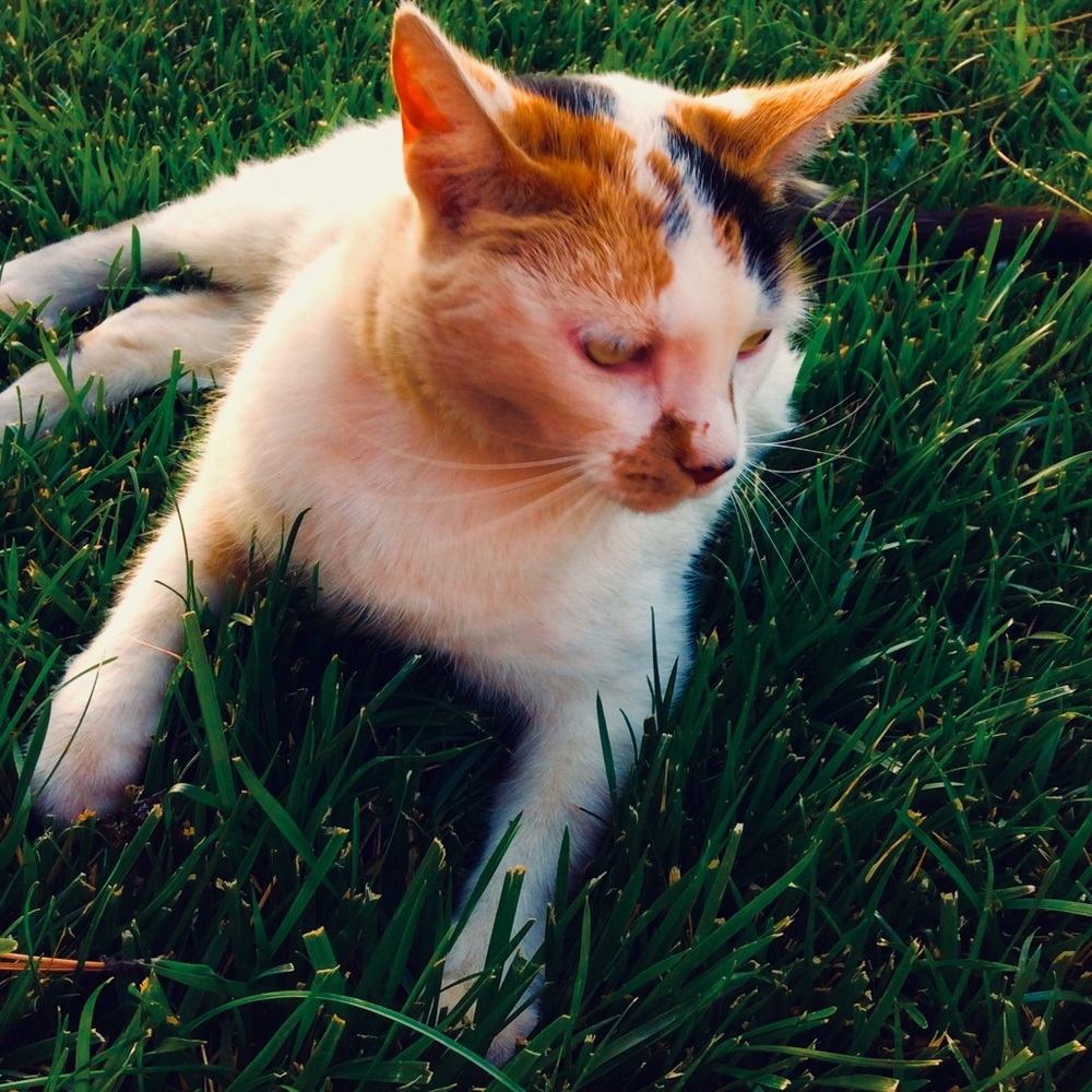 Meet your Posher, Karley